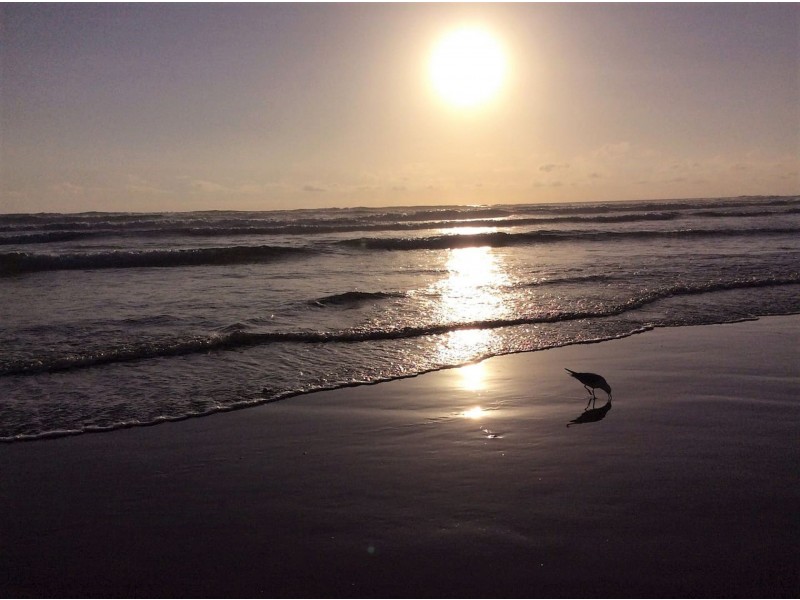 5 Arnott St, Tarwin Lower VIC 3956