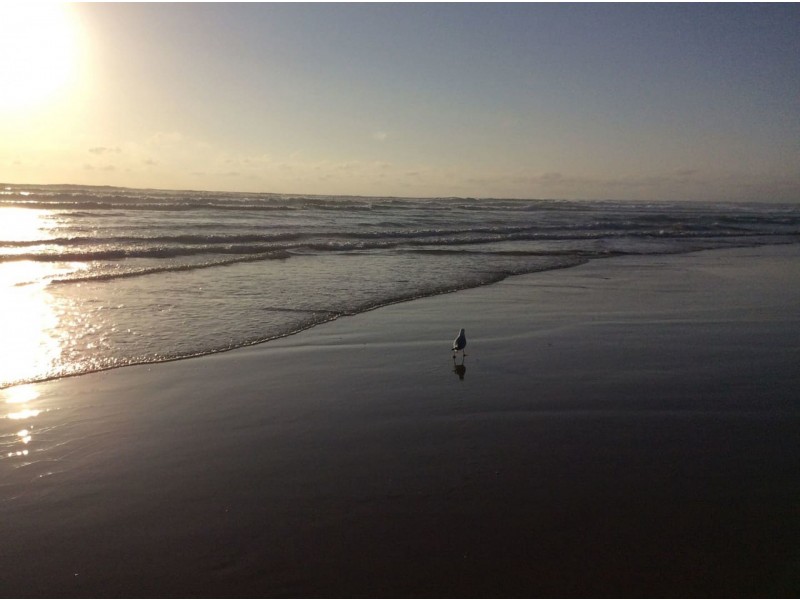 5 Arnott St, Tarwin Lower VIC 3956