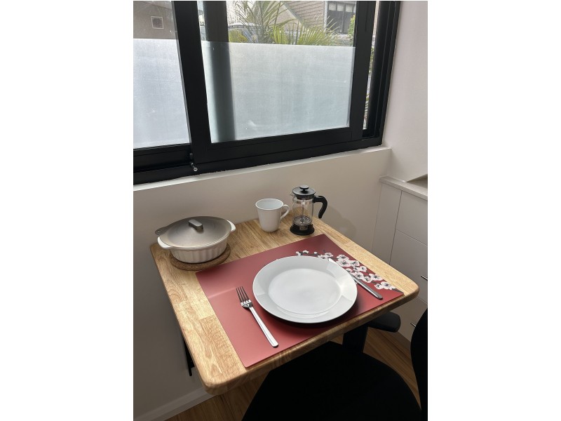 Studio Apartment (Enter via Wilson Lane)/Rear of 290 Abercrombie St, Darlington NSW 2008