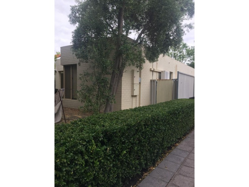 19 York Street, South Perth WA 6151