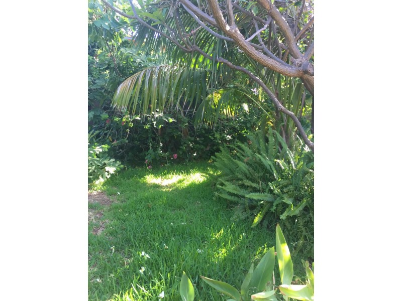 19 York Street, South Perth WA 6151