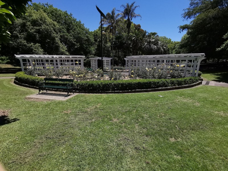10/25-29 Millewa Ave, Wahroonga NSW 2076