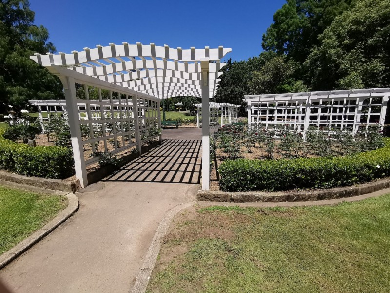 10/25-29 Millewa Ave, Wahroonga NSW 2076