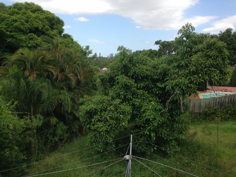 464 Waterworks Road, Ashgrove QLD 4060