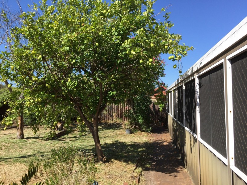 37 Barlee Way, Beechboro WA 6063