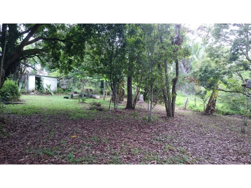 1 Honeyflow Drive, Rossville QLD 4895