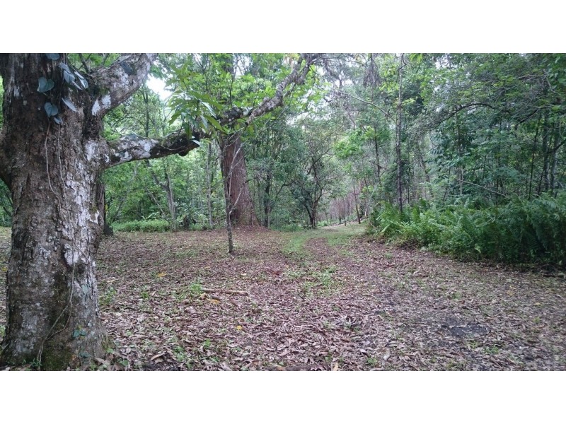 1 Honeyflow Drive, Rossville QLD 4895