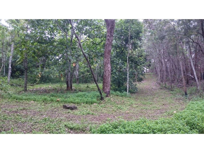 1 Honeyflow Drive, Rossville QLD 4895