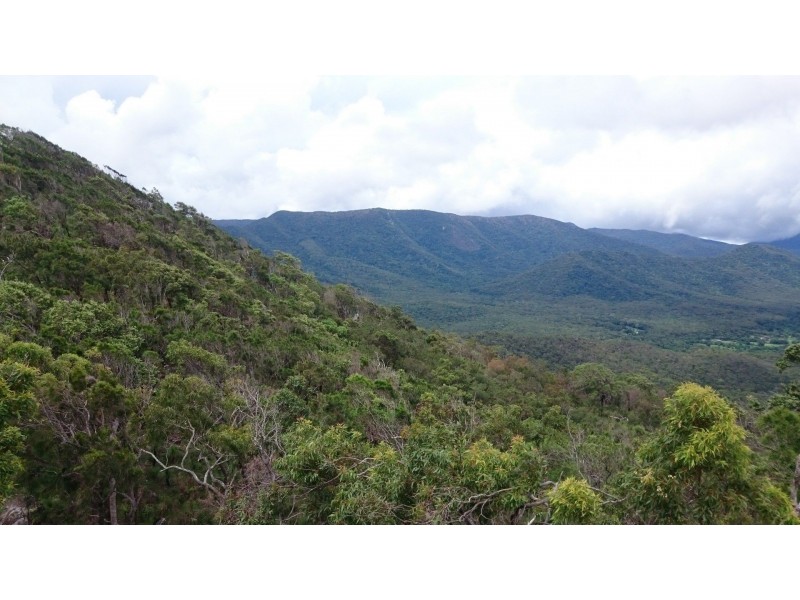 1 Honeyflow Drive, Rossville QLD 4895