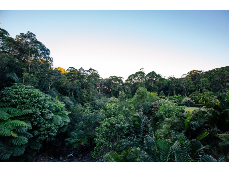 31/97 Burnett Street, Buderim QLD 4556