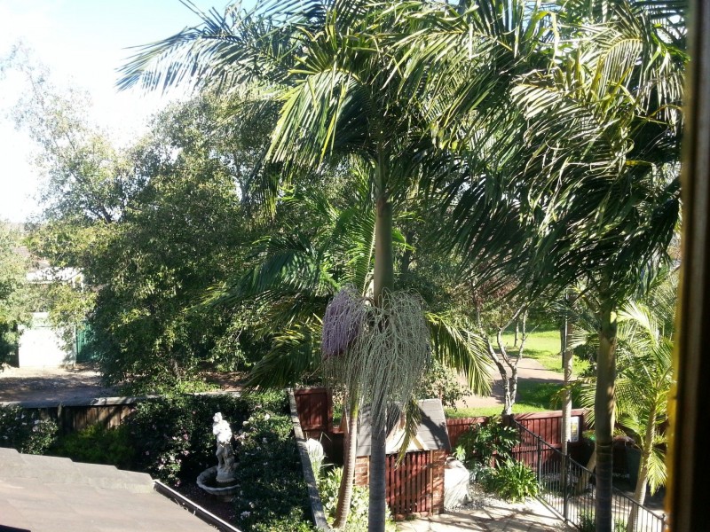 Bella Vista NSW 2153