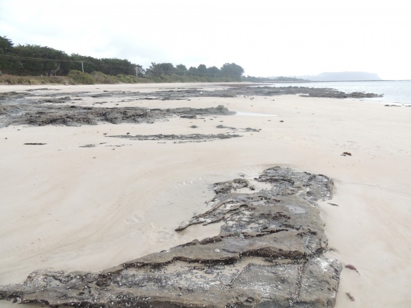 173a Old Bass Hwy, Wynyard TAS 7325