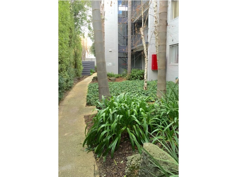 11/215 Williams Road, South Yarra VIC 3141