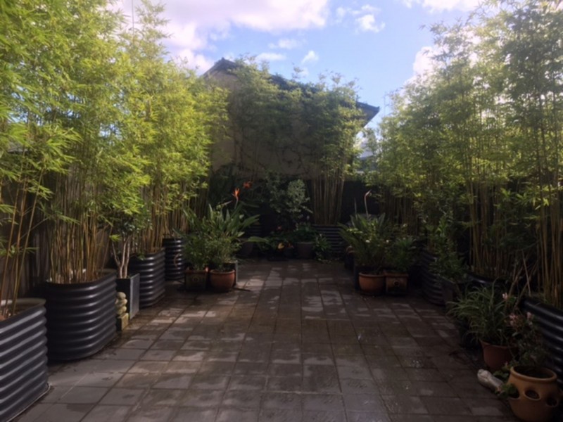 4/52-60 Renwick, Redfern NSW 2016