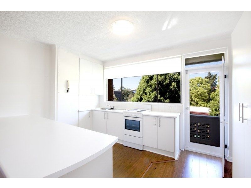 14/21 Palmerston Avenue, Bronte NSW 2024