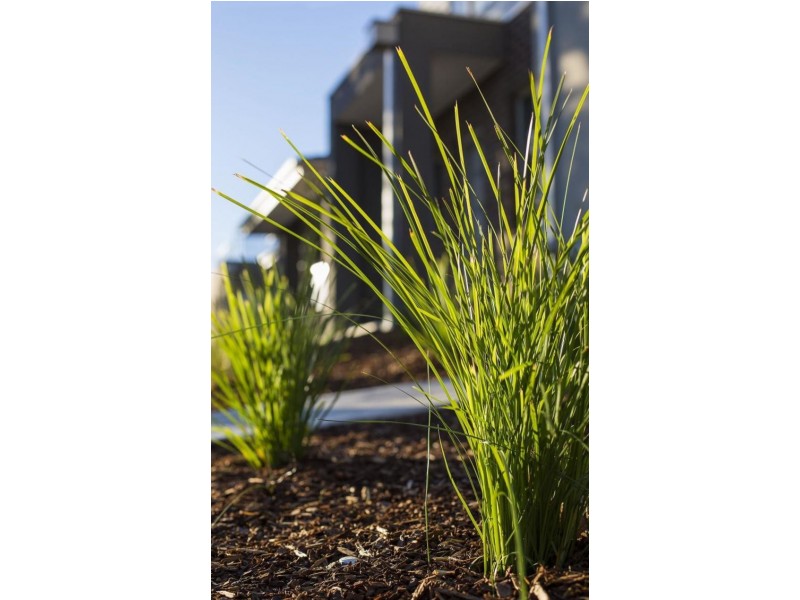 Craigieburn VIC 3064