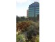 606/1 Queens Road, Melbourne VIC 3004