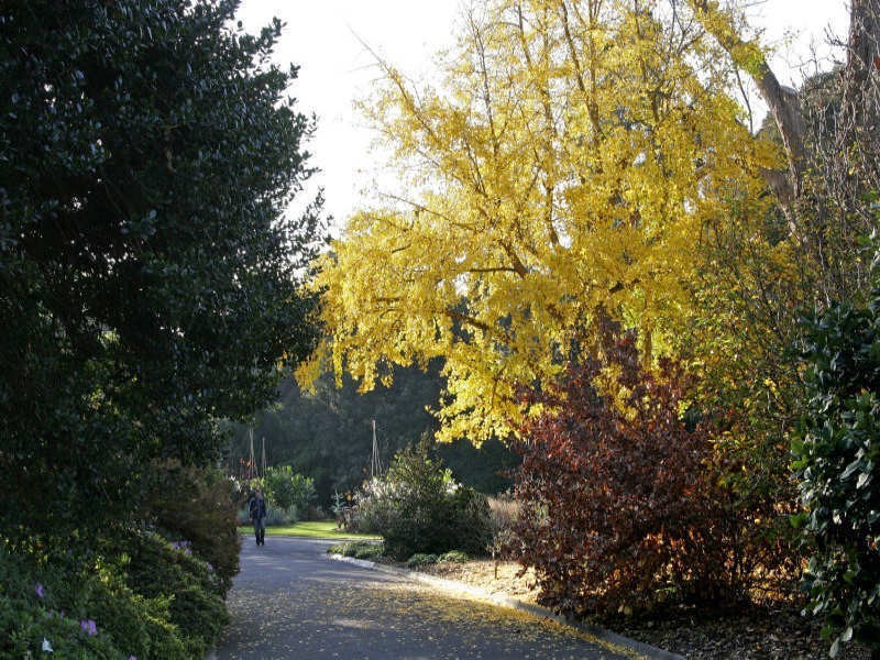 1414/35-47 Coventry Street, Southbank VIC 3006