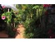 14 Bearke Place, Bracken Ridge QLD 4017