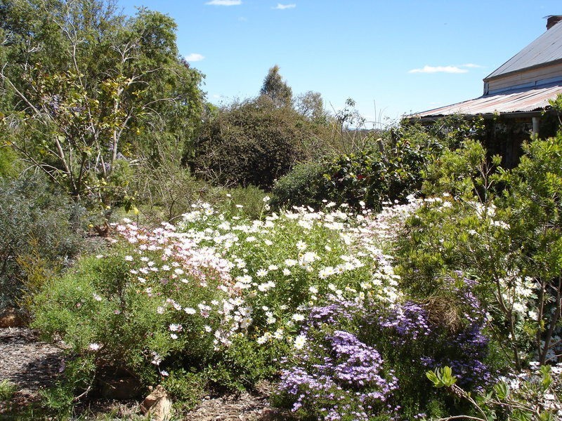 1924 Benalla/Yarrawonga Rd, Bungeet West VIC 3726
