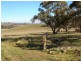 1924 Benalla/Yarrawonga Rd, Bungeet West VIC 3726