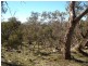 1924 Benalla/Yarrawonga Rd, Bungeet West VIC 3726