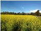 1924 Benalla/Yarrawonga Rd, Bungeet West VIC 3726