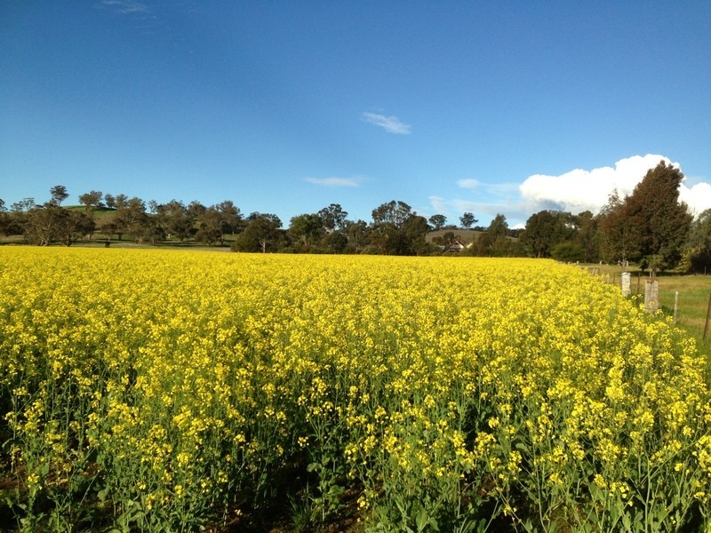 1924 Benalla/Yarrawonga Rd, Bungeet West VIC 3726