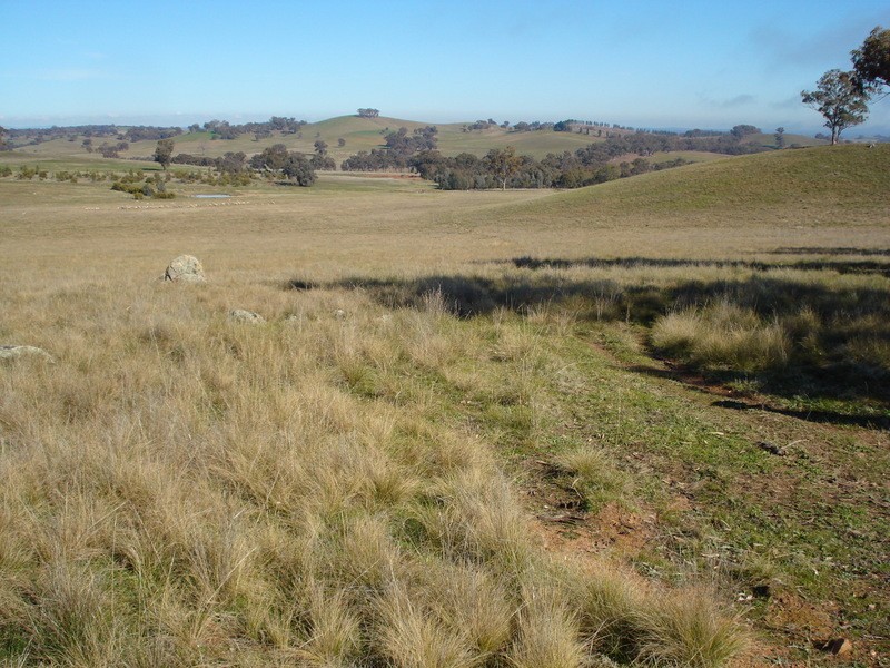 1924 Benalla/Yarrawonga Rd, Bungeet West VIC 3726