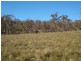 1924 Benalla/Yarrawonga Rd, Bungeet West VIC 3726