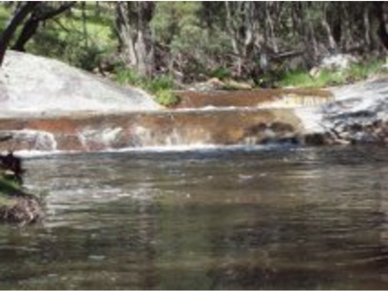 38 Eagle Creek Road, Tenterfield NSW 2372