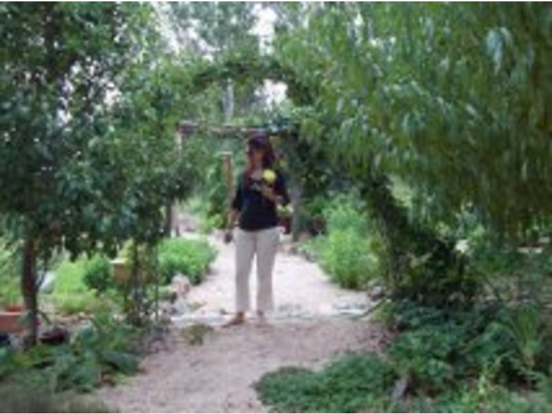 38 Eagle Creek Road, Tenterfield NSW 2372