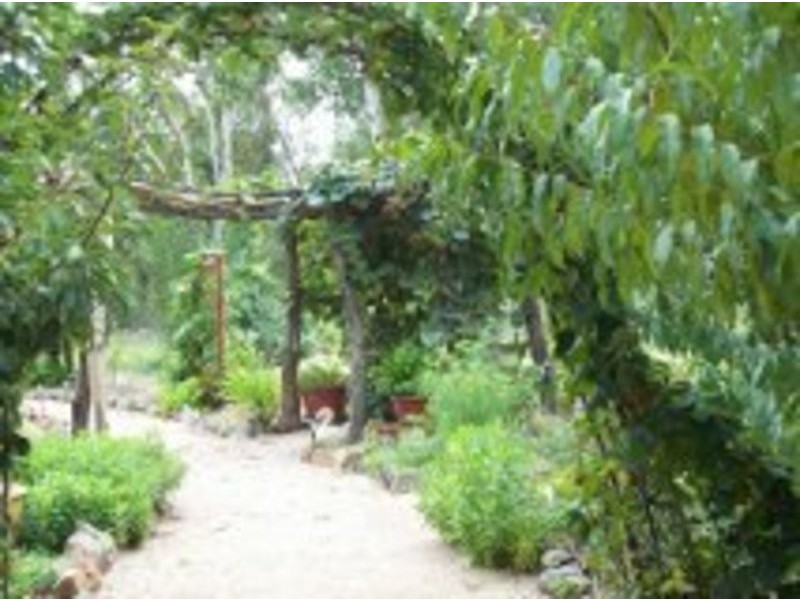 38 Eagle Creek Road, Tenterfield NSW 2372