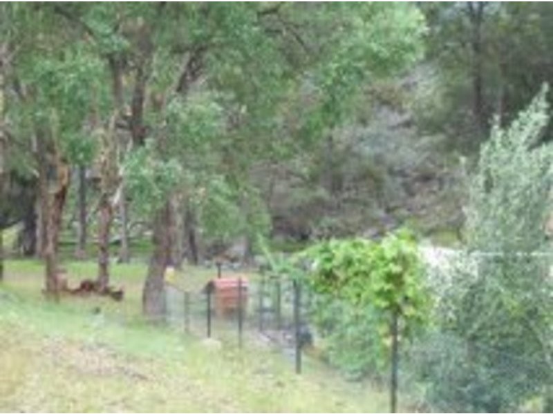 38 Eagle Creek Road, Tenterfield NSW 2372