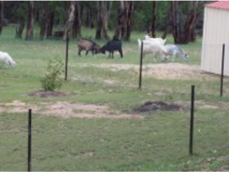 38 Eagle Creek Road, Tenterfield NSW 2372