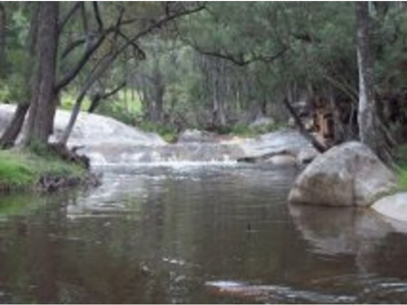 38 Eagle Creek Road, Tenterfield NSW 2372