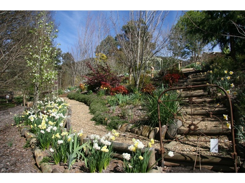 12 Walnut Grove, Bright VIC 3741