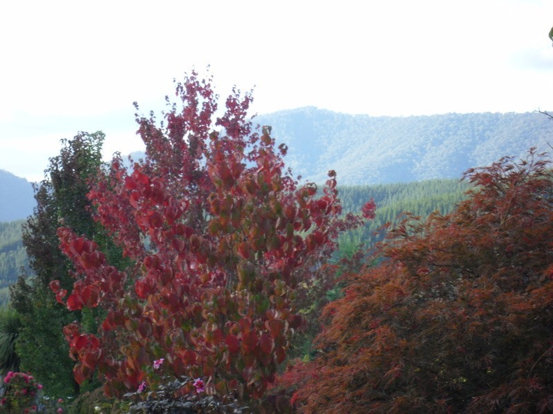 12 Walnut Grove, Bright VIC 3741