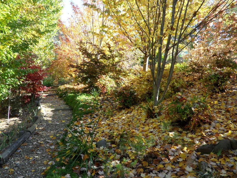 12 Walnut Grove, Bright VIC 3741