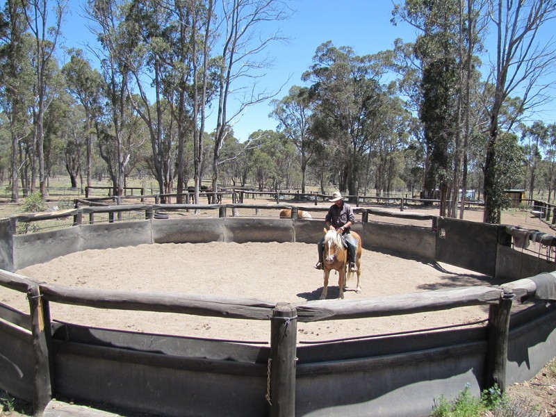 954 BULLOCK MOUNTAIN ROAD, Glen Innes NSW 2370