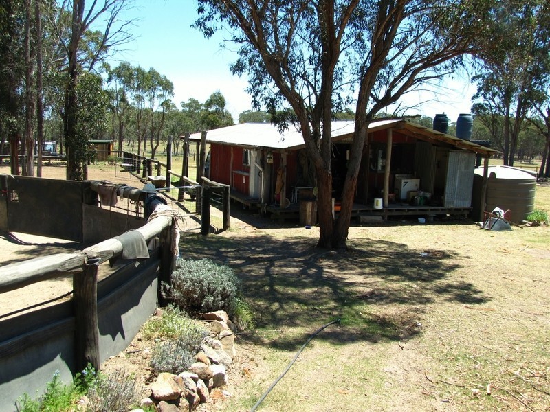 954 BULLOCK MOUNTAIN ROAD, Glen Innes NSW 2370