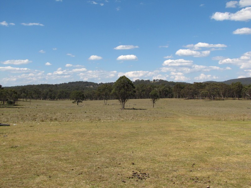 954 BULLOCK MOUNTAIN ROAD, Glen Innes NSW 2370