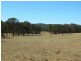 954 BULLOCK MOUNTAIN ROAD, Glen Innes NSW 2370