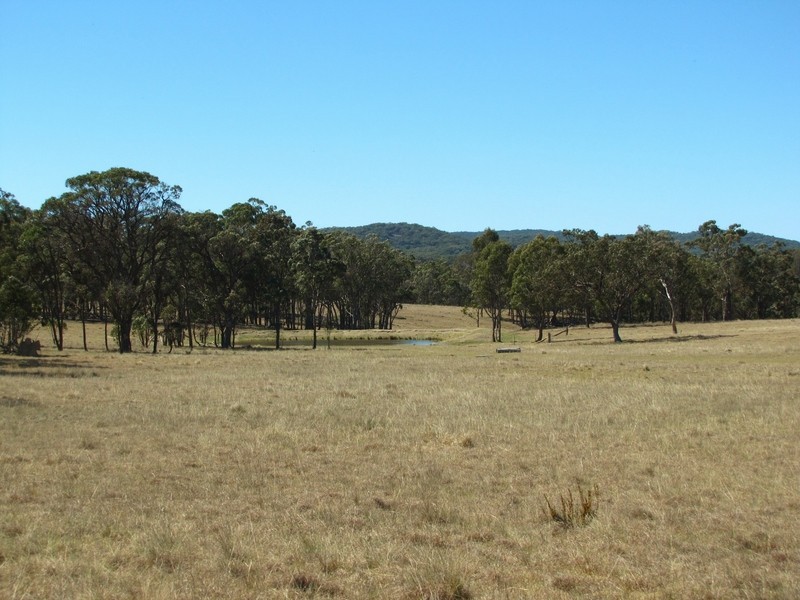 954 BULLOCK MOUNTAIN ROAD, Glen Innes NSW 2370