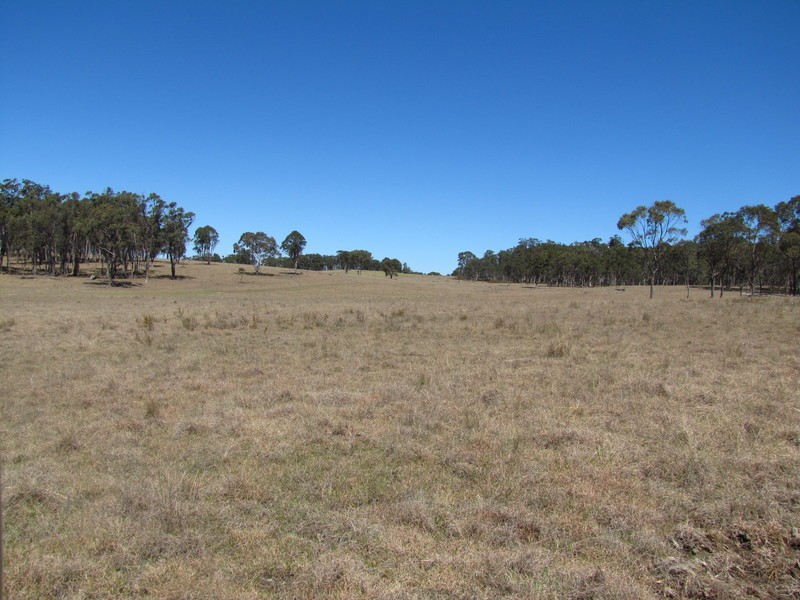 954 BULLOCK MOUNTAIN ROAD, Glen Innes NSW 2370