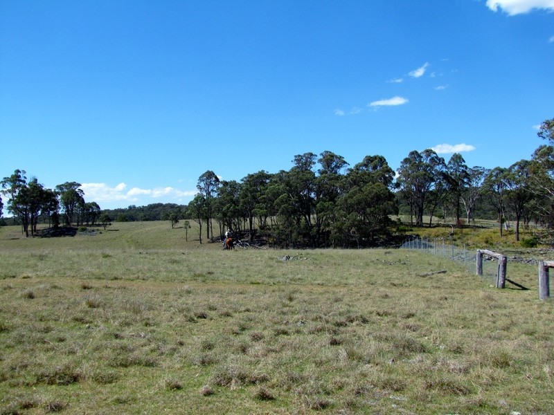 954 BULLOCK MOUNTAIN ROAD, Glen Innes NSW 2370