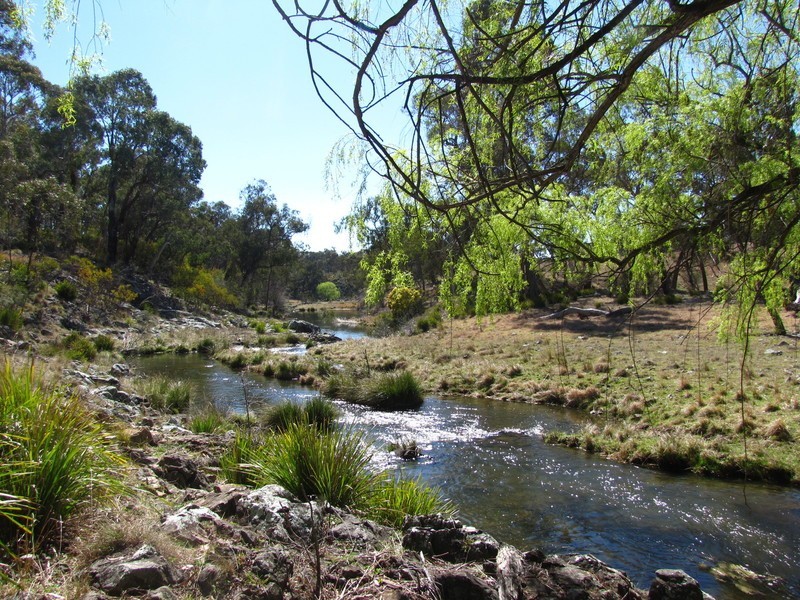954 BULLOCK MOUNTAIN ROAD, Glen Innes NSW 2370