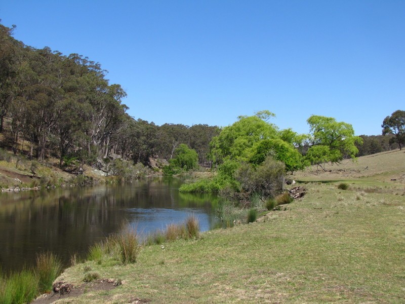 954 BULLOCK MOUNTAIN ROAD, Glen Innes NSW 2370