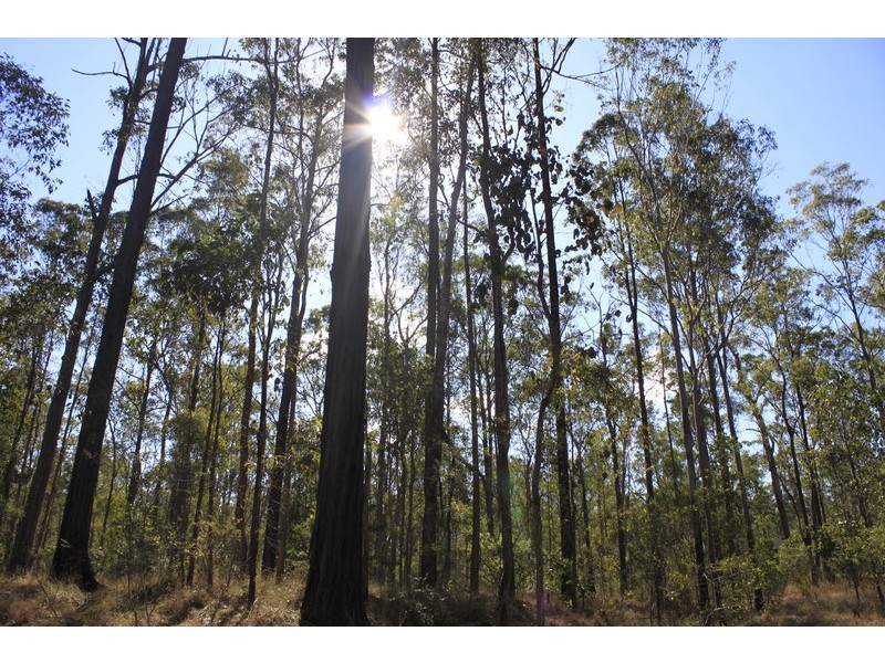 Lot 434 Arborfourteen Road, Glenwood QLD 4570