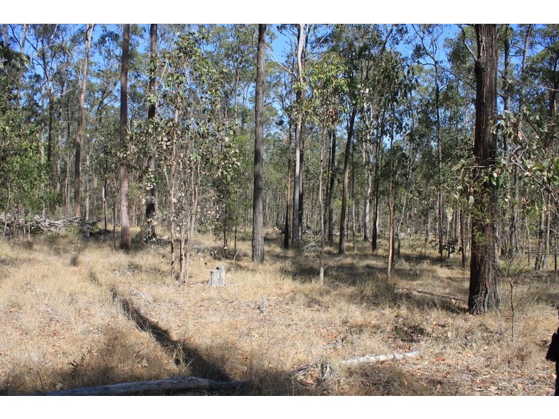 Lot 434 Arborfourteen Road, Glenwood QLD 4570
